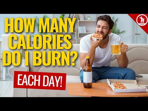 How Many Calories Do You Burn in a Single Day?