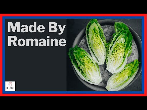 Romaine Lettuce: Nutritional Benefits You Might Be Missing
