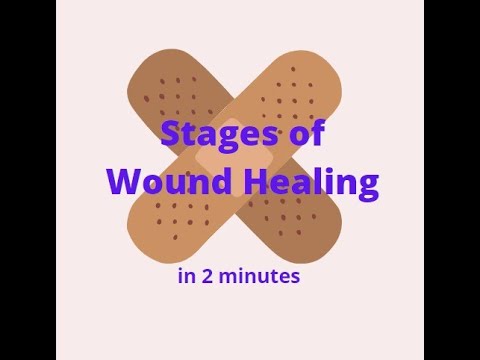 Understanding the Wound Healing Process Through Pictures