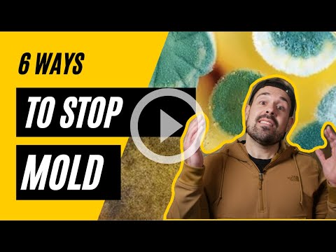Banishing Moisture and Mold: Solutions for Your Home