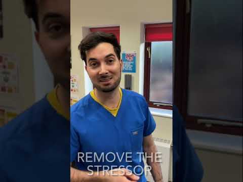 Effective Strategies to Combat Mental Exhaustion and Care post thumbnail image