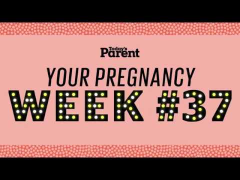 37 Weeks Pregnant: What to Expect and How to Prepare