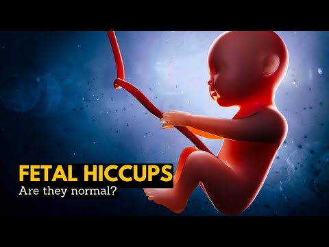Understanding Baby Hiccups in the Womb: What to Expect