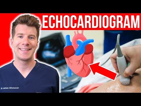 Cardiologists: Understanding Their Role in Heart Health