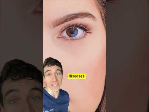 Heterochromia: What Makes Eyes Shine in Different Colors?