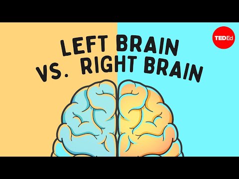 Left Brain vs. Right Brain: Facts and Myths Unveiled
