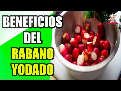 Essential Contraindications for Rabano Yodado Oral Use