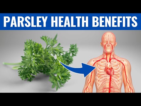 Discover the Health Benefits of Parsley for Wellness