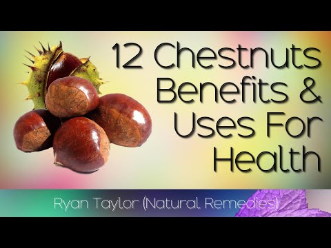 The Surprising Benefits of Horse Chestnut Unveiled