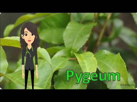 Understanding Pygeum Supplement: Uses, Doses, and Risks post thumbnail image