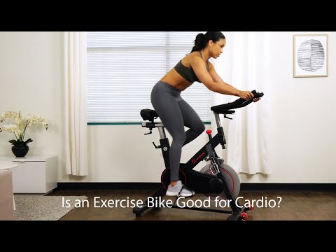 Treadmill or Bike: Which Cardio Option Benefits Your Heart? post thumbnail image