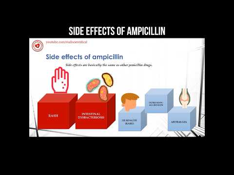 Understanding Ampicillin Intravenous: Benefits and Risks
