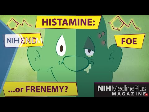 Histamines: Their Role and the Perils of Overreaction