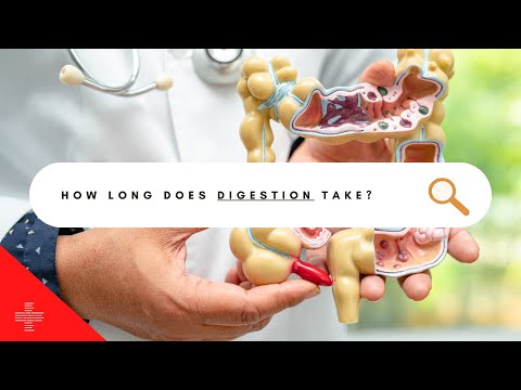 How Long Does It Take Your Stomach to Empty After Eating? post thumbnail image