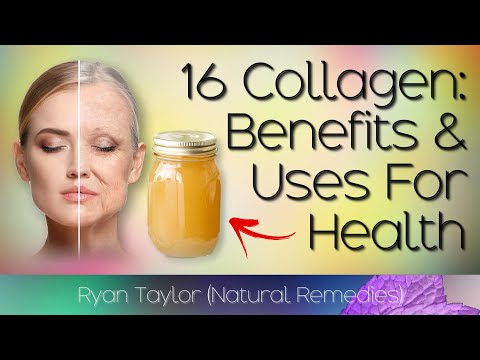 Collagen Uncovered: Food, Powders, and Bodily Benefits