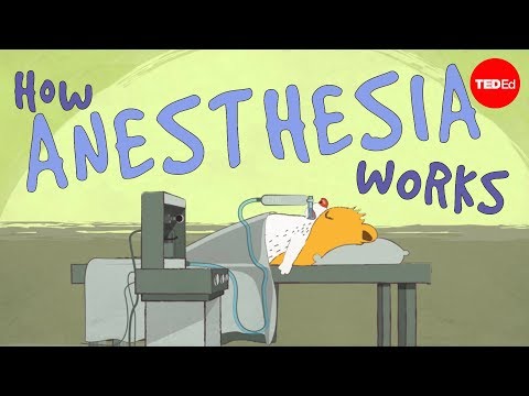 Understanding Local Anesthesia: Uses, Risks, and Processes post thumbnail image
