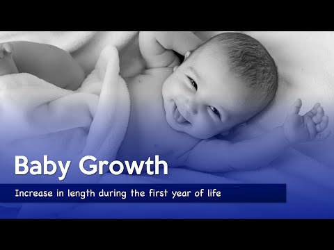 Understanding Average Baby Length in the First Year