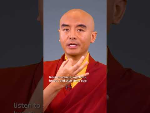 Zazen Meditation: A Key to Managing Stress and Anxiety post thumbnail image