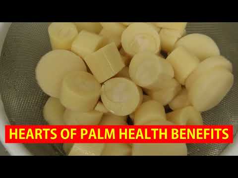 Unlock the Surprising Health Benefits of Heart of Palm