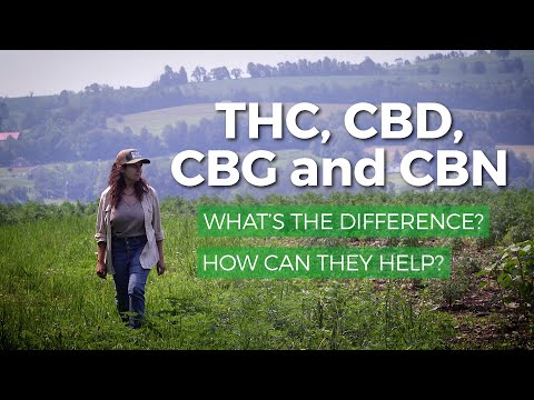 CBD vs CBN: Key Differences You Should Know
