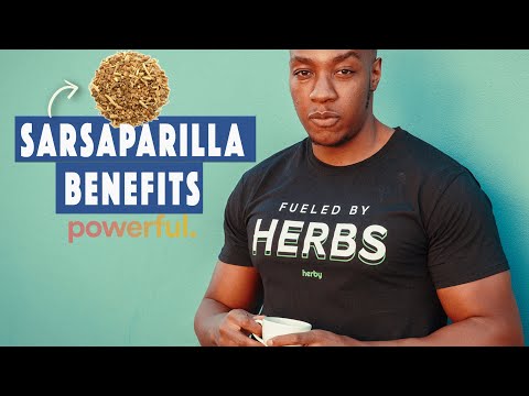 Sarsaparilla: Benefits, Risks, and Surprising Insights post thumbnail image