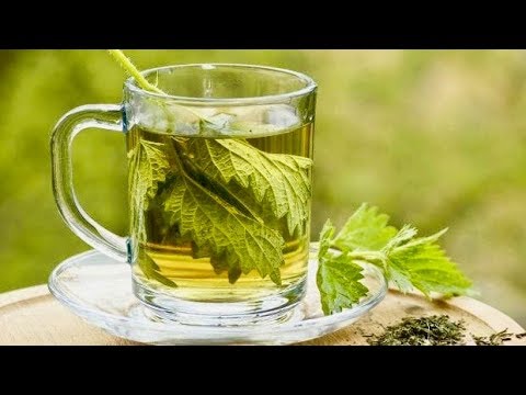 Nettle Tea: A Natural Boost for Your Health
