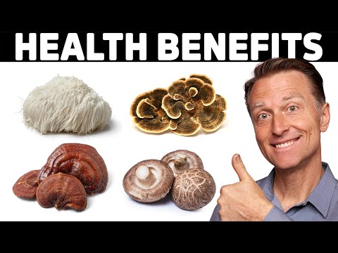 Understanding Adaptogenic Mushrooms: Benefits and Risks