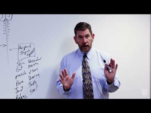 Understanding Central Sensitivity Syndromes: Symptoms and Care
