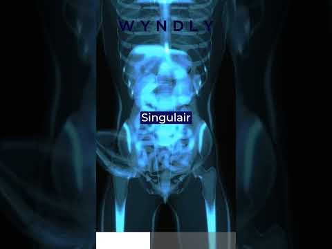 Is Singulair the Right Choice for Your Allergy Relief?