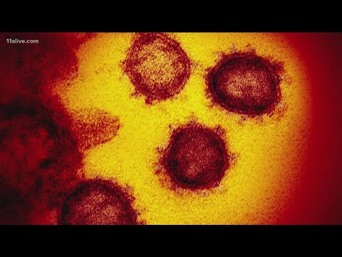 Understanding COVID-19: How Long Will You Test Positive?