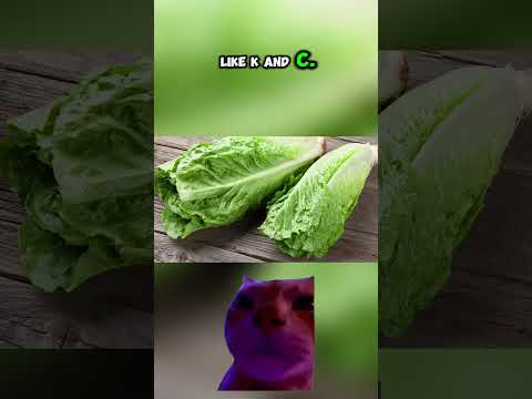 Discover 5 Types of Lettuce for Better Health and Nutrition