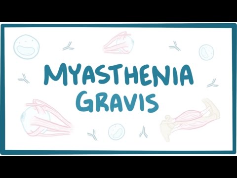 Understanding Myasthenia Gravis: Diagnosis and Treatment Options