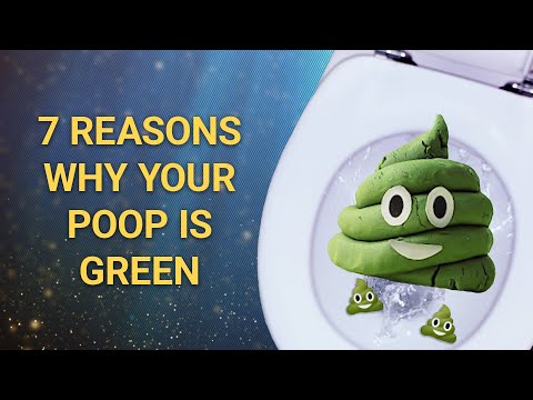 Why Is My Poop Green? 6 Surprising Reasons Explained