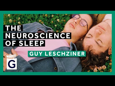 REM Sleep: Understanding Its Role and Related Conditions