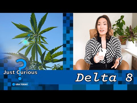 Delta-8 Explained: What It Is and Why It Matters Now post thumbnail image