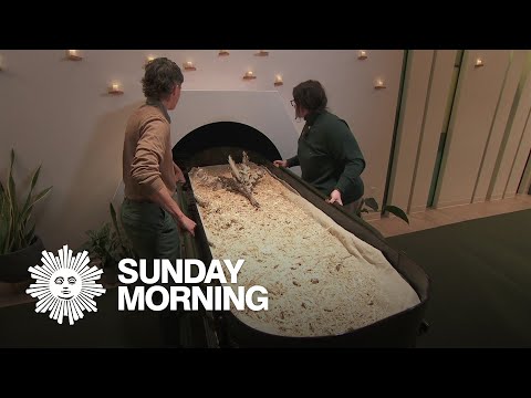 Human Composting: Process and Legal Landscape Explained