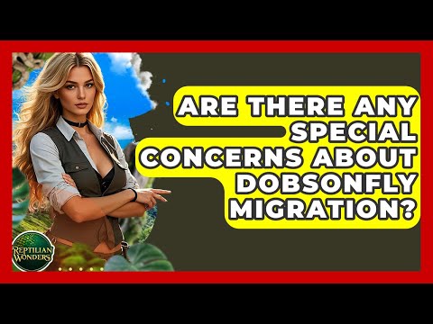 What You Should Know About Dobsonflies and Your Health