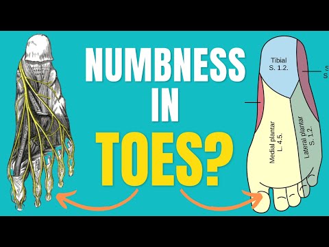 Understanding Numbness in Your Big Toe: Causes and Care post thumbnail image