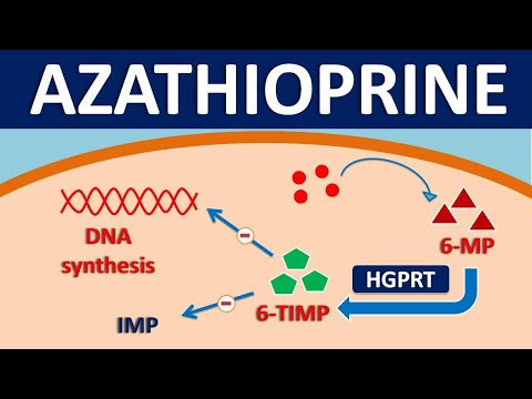 Azathioprine Oral: Uses, Risks, Interactions, and Images