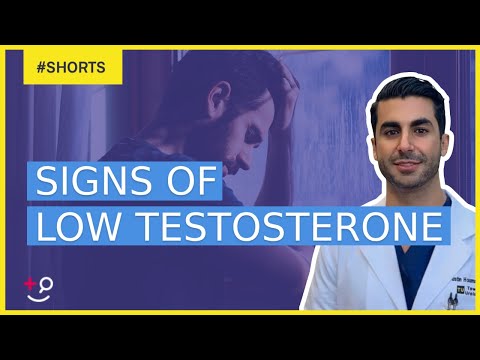 Recognizing Low Testosterone: Signs and What to Do Next
