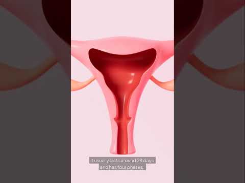 Can You Conceive During Your Period? Here's the Truth