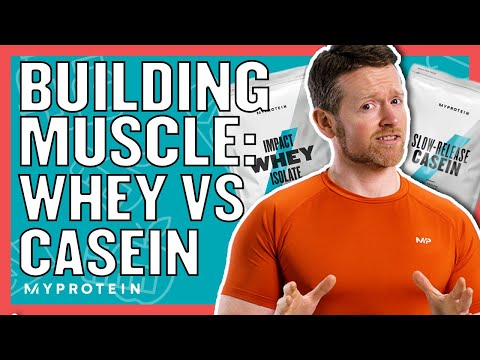 Understanding Casein: Benefits, Risks, and Proper Dosage