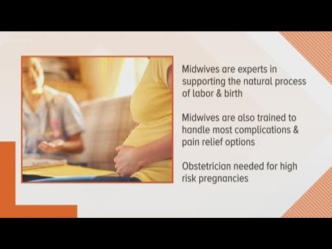 Choosing Care: Midwife or OB-GYN for Your Pregnancy Journey?