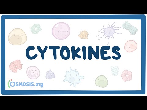 Cytokines: Key Players in Health and Disease Management