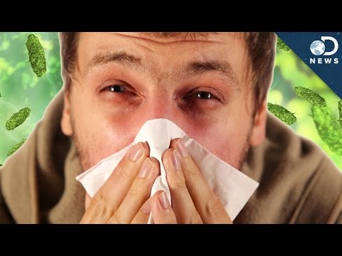 Cold vs. Flu: Key Differences and Symptoms to Watch For