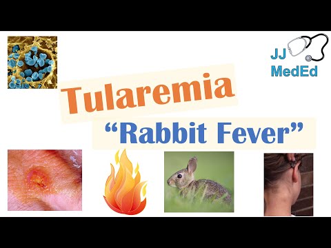 Understanding Tularemia: Causes, Symptoms, and Care