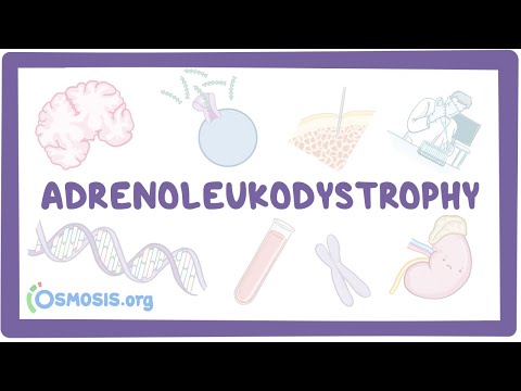 Understanding Adrenoleukodystrophy: Causes, Types, Symptoms post thumbnail image