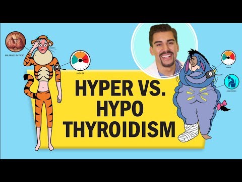Understanding Thyroid Medications: Types and Their Uses