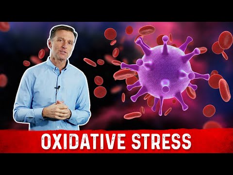 Understanding Oxidative Stress: Antioxidants and Health Risks
