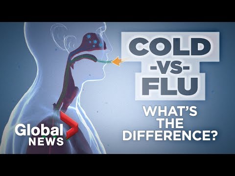 Understanding Common Cold Symptoms: Know What's Normal
